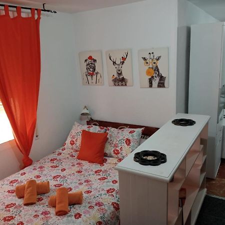 Апартаменти Apartamento Con Encanto 'Larios Studio' Малага Екстер'єр фото