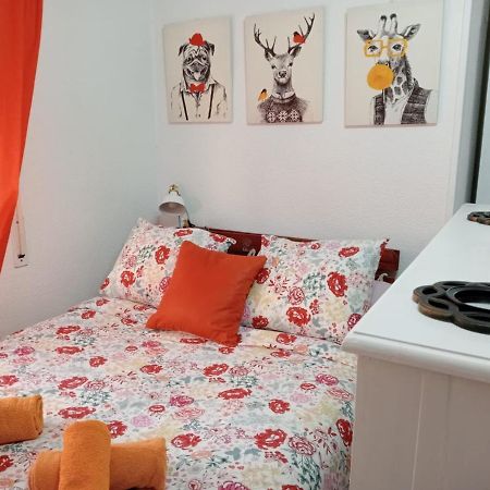 Апартаменти Apartamento Con Encanto 'Larios Studio' Малага Екстер'єр фото